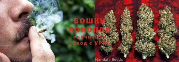 каннабис Алзамай